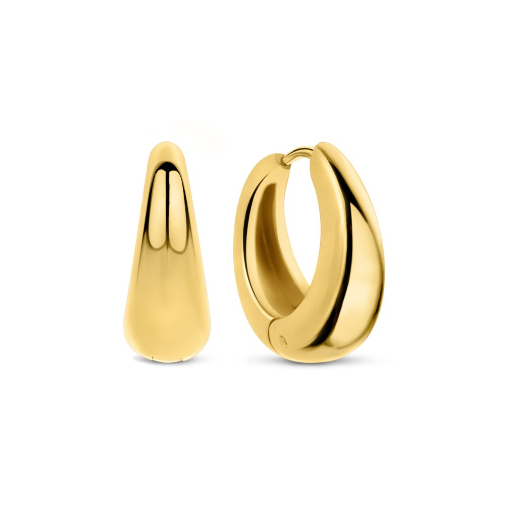 Celine Earrings