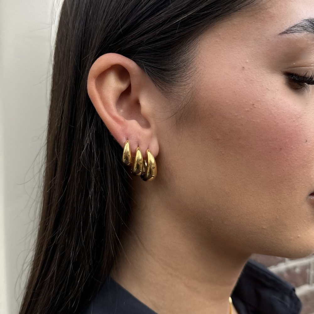Celine Earrings